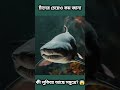 কী রয়েছে গভীর সমুদ্রে, জানলে অবাক হবেন! 😱 #viral #science