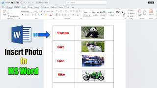 How to insert picture in MS Word