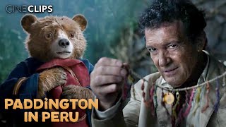 Paddington In Peru Hunter Cabot Tricks Paddington In The Jungle Ft. Antonio Banderas Cineclips