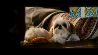 Seven Psychopaths Official Trailer - On Blu-Ray & Dvd