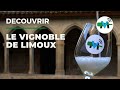 Ref:_pwAof1c9f4 � la d�couverte du vignoble de limoux