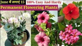 June महीने में लगाए बेहद Less Care Permanent Flowering Plants || Plants To Grow June July