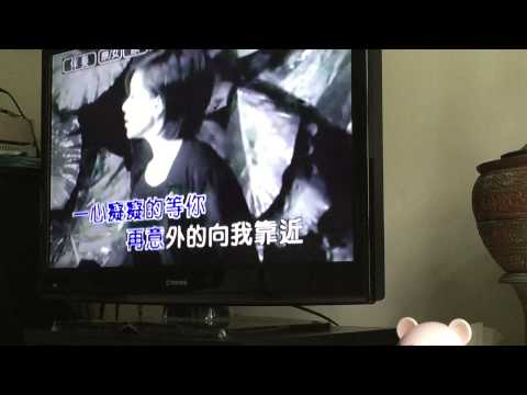 斷了線-洋洋cover