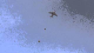 2011年1月9日 第一空挺団 降下訓練始め 本隊降下と着地・軽物量投下 2011年1月9日 第一空挺団 降下訓練始め 本隊降下と着地・軽物量投下