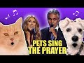 The Prayer Parody Song sung by cats and dogs