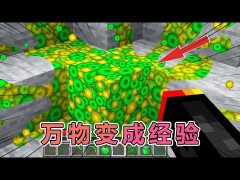 我的世界 Preston老哥挑战将MC全部感染为经验值 我的世界 Minecraft 阿柴MC 