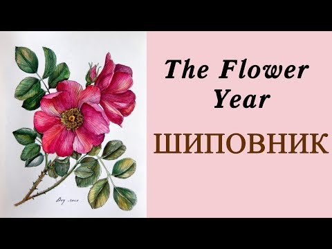 Попытка раскрашивания акварелью в книге "Flower year" / Раскраска-антистресс