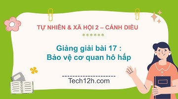 Giảng bài 17: Bảo vệ cơ quan hô hấp | Bài giảng tự nhiên và xã hội 2 cánh diều