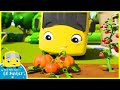 Buster Learns To Grow Vegetables At Home! | Go Buster | Baby Cartoons | Kids Videos | ABCs and 123s