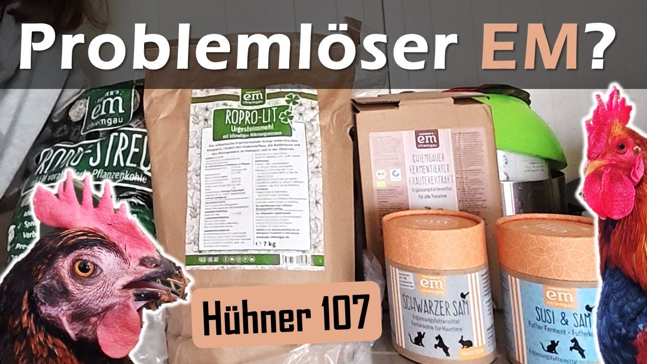 Ich versuch's einfach mal: Effektive Mikroorganismen im Hühnerstall 