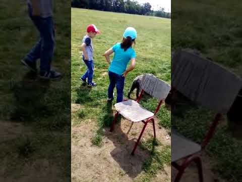 Dansul cu catelul sharingbox