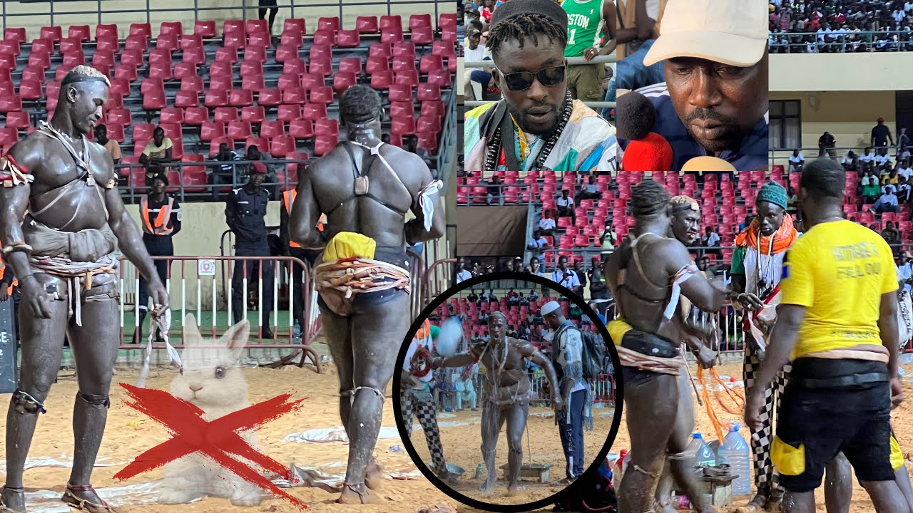 🐇☠️Ada Fass vs Coly Faye : Les temps forts avec Gris et Siteu, 😈la préparation mystique très tendue