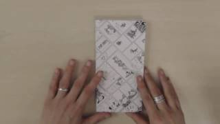 Amazing 2017 cat manga Hobonichi Weeks!