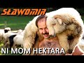 Sawomir  ni mom hektara  official clip hit 2015 