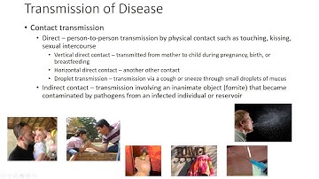 Chapter 16 OpenStax Microbiology