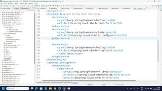 Microservices 7 config server