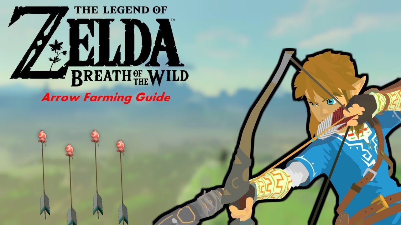 2 Ways to get Arrows in The Legend of Zelda Breath of the Wild! (2018