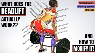 BEFORE YOU DEADLIFT, Understand the Anatomy Behind It! (Which Muscles It Works & How to Modify It)