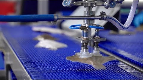 Plaice sorting - Pick & Place Delta robot fresh flatfish