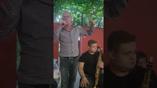 Bebe Dragomir - cât mi-e viața asta de dragă (cover)