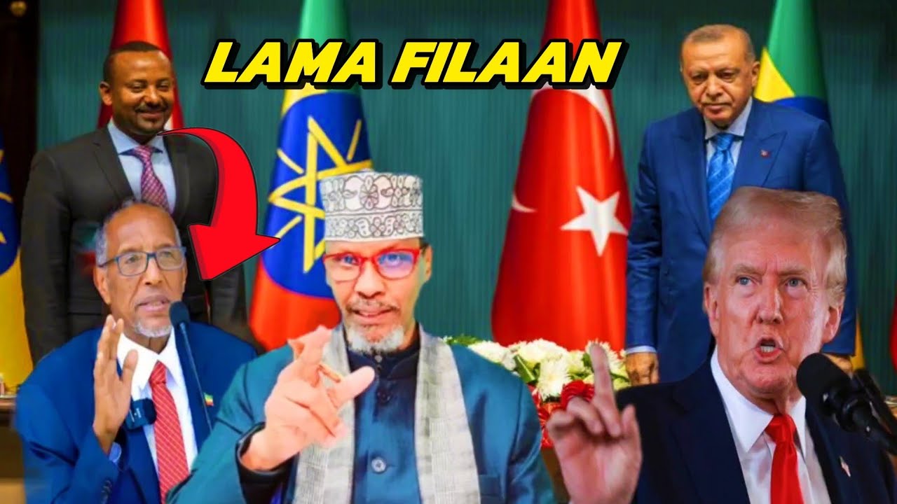 Muxuu Madaxweynaha Turkigu uga hor istaagay Raysal-wasaaraha Itoobiya in uu aqoonsado Somaliland?