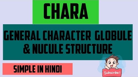 #chara algae | general characters | plant body and thallus | | structure of globule and nucule |