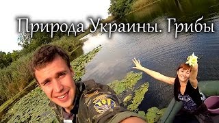 Природа Украины.Грибочки (Ukraine's Nature. Mushrooms) ...Turistorii