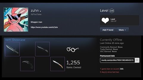 How to Paste Your Own Private Cheat (Reupload from Zuhn)