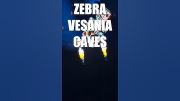 Astroneer: Finding a zebra ball on Vesania #Shorts