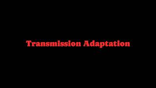 Interpreting Transmission Adaptation Values