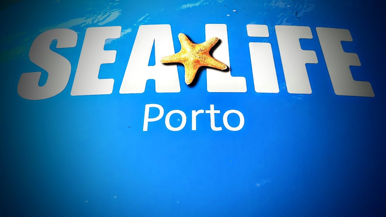 Sealife - Porto