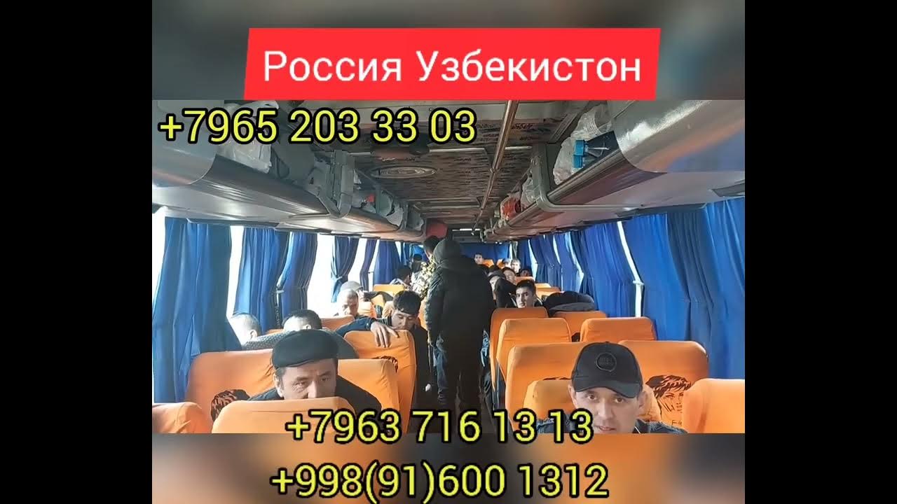 Автобус москва самарканд. Москва ташкент автобус. Автобус москва самарканд. Ташкент бухара автобус. Автобус ташкент бухара автобусы.