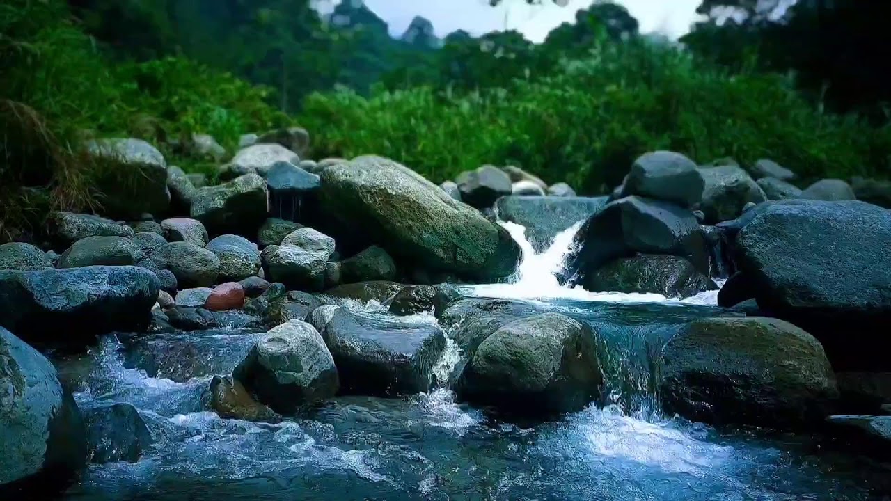 River Stream Ambient Sleep Sounds to Relax Mind, Body & Drift Into Deep Sleep