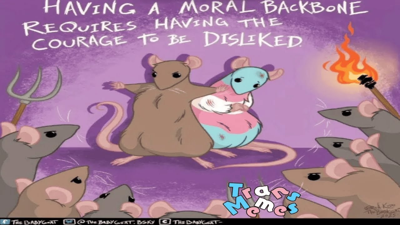 🏳️‍⚧Protect The Trans Rat And Other Trans Memes🏳️‍⚧