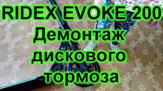 RIDEX EVOKE 200. Близкий взгляд и снятие дискового тормоза