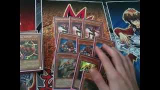 Yugioh! 3/3/2012 Indianapolis Regional Report and Deck Profile - Inzektors