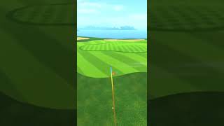 Hole In One Hole 17.