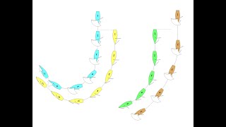 Sailboat Racing - Proper Course