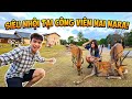 SOWNVANG ​Wandering Through Nara: Japan’s Enchanted Deer Park