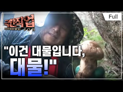 [Full] 극한직업 - 자연산 버섯 채취