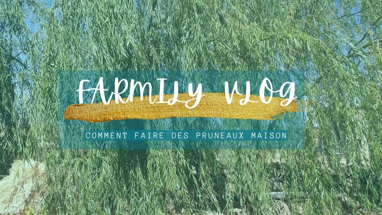 Farmily vlog: Comment faire des pruneaux maison