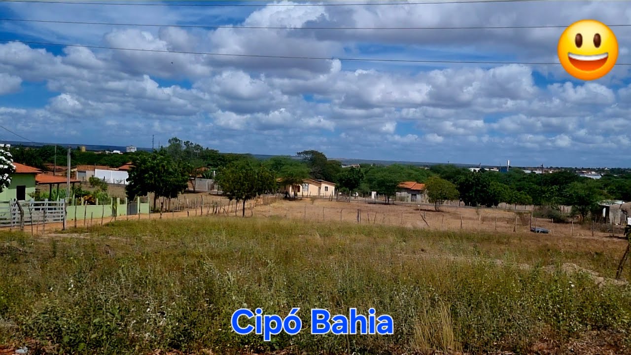 um pedacinho de cipó bahia, nordeste brasileiro, vida no interior, sertão. Gostaram?😃