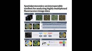 1552-Spatialproteomics for Multiplexed Image Analysis