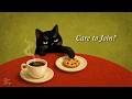 Care to Join? – Slow, Relaxing 1940s Vintage Noir Jazz