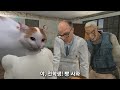 전학을 온 치피치피 차파차파 