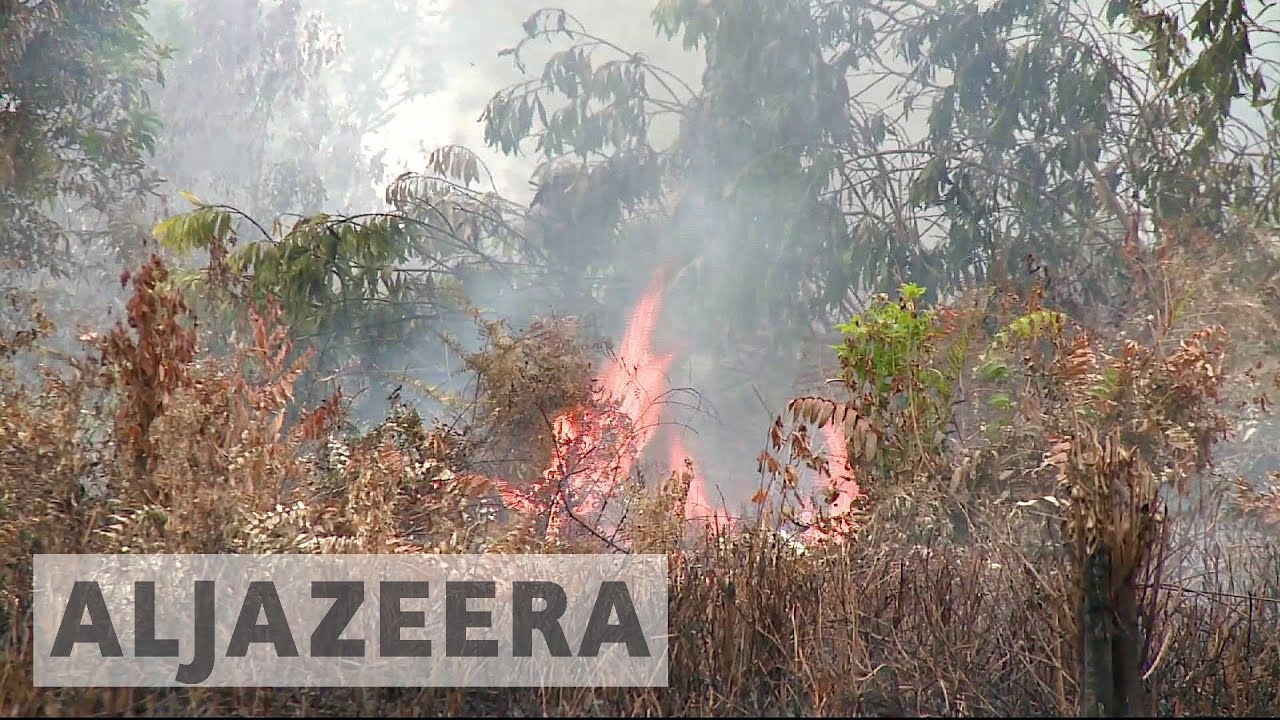 Indonesia fires spark anger against government