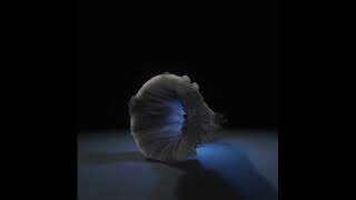 Thanos Portal in Avengers FX | Houdini