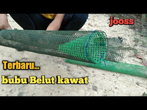 Cara  membuat  bubu belut menggunakan jaring  kawat YouTube