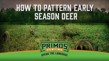 How to Pattern Deer With Trail Cameras in the Early Season