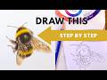 How To Draw A Realistic Bumble Bee Step By Step Colour Pencil Tutorial For Beginners mp3